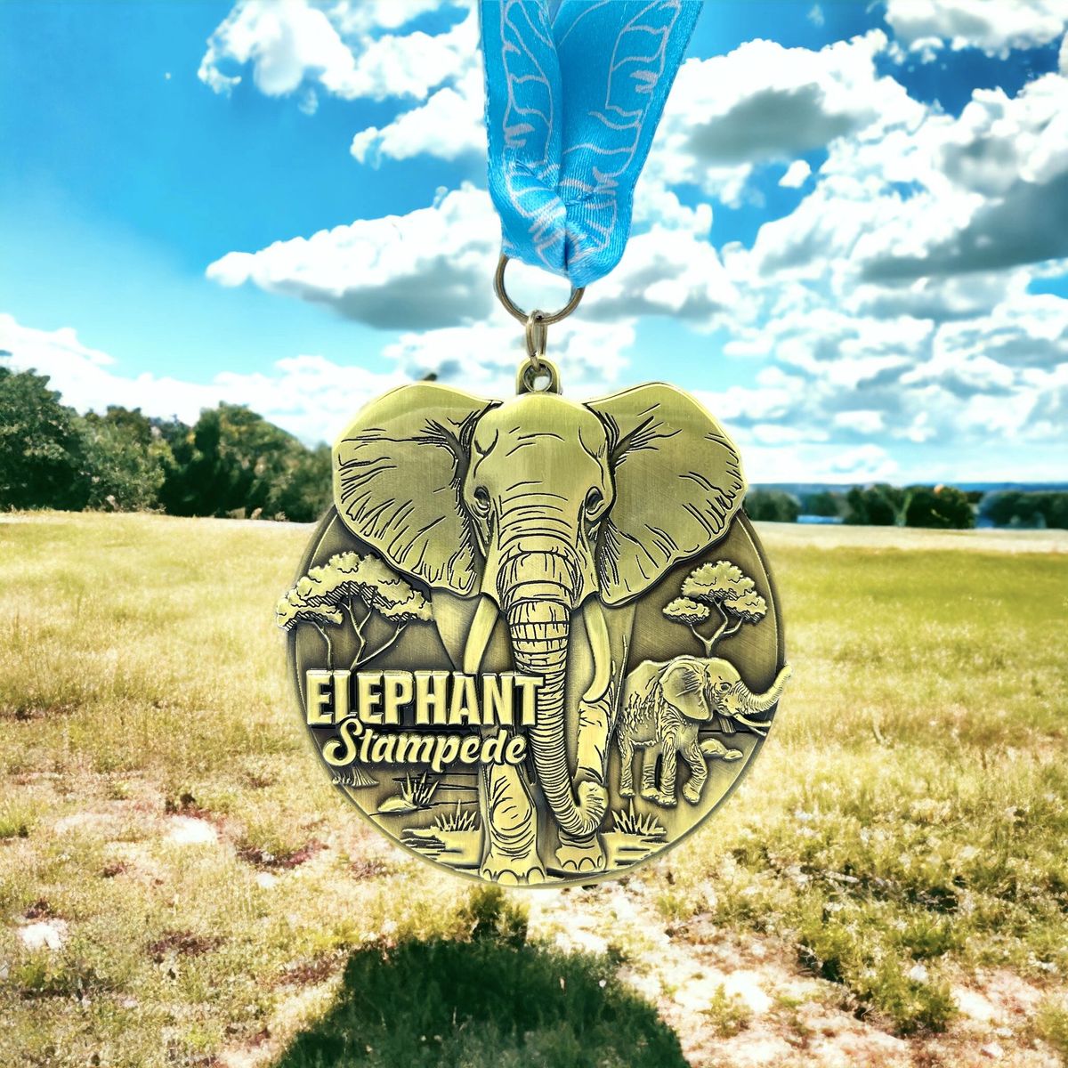 2024 Elephant Stampede 1M 5K 10K 13 1 26 2 Benefitting The Elephant   Rs=w 1200,h 1200